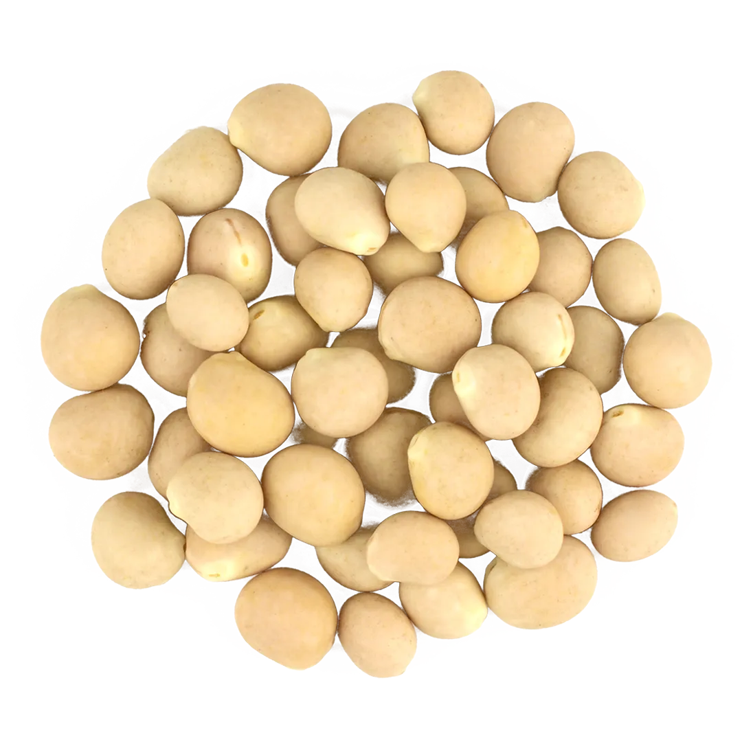 lupino