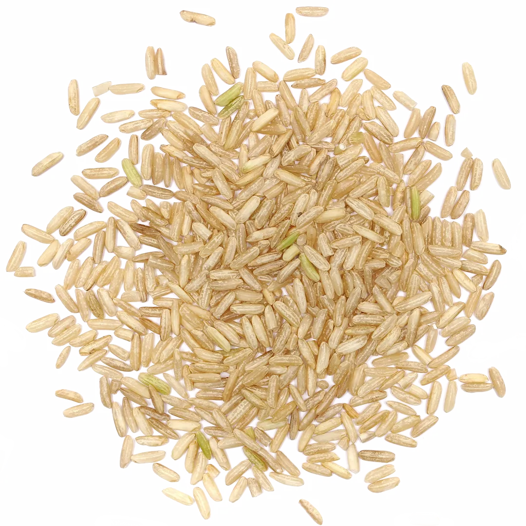 arroz