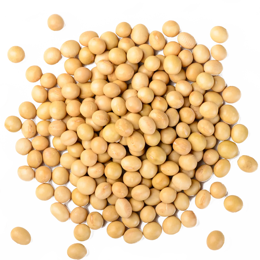 soja