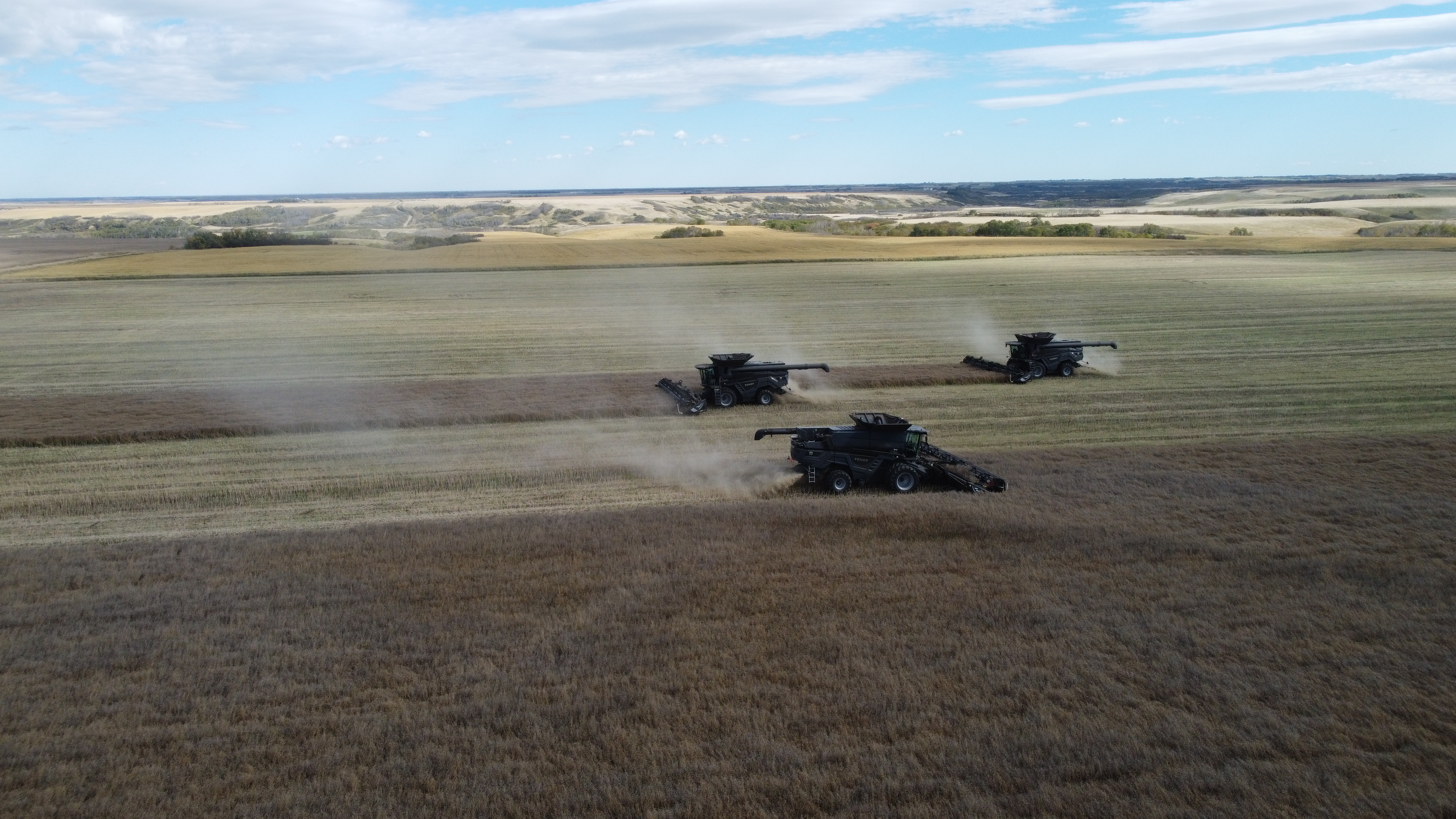 3 combines harvesting field