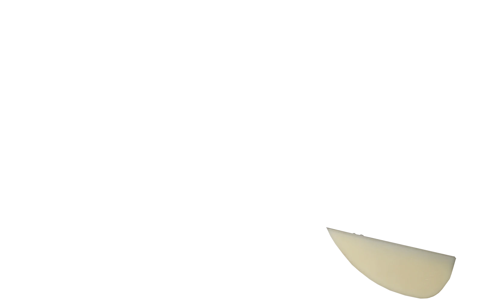 Flo-rite FR350 replaceable wear pad