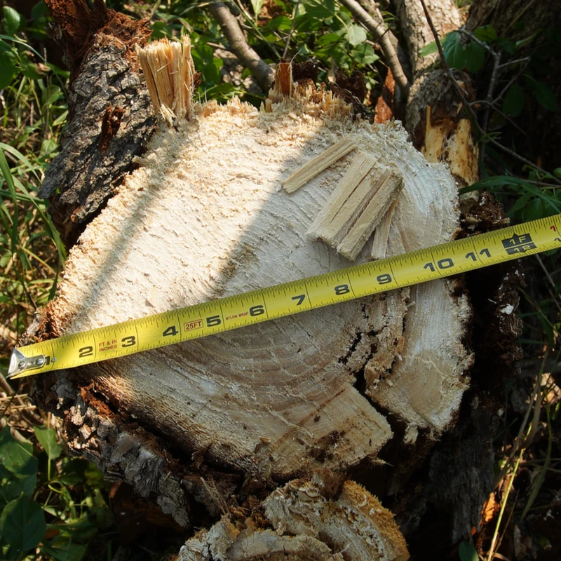 Jenkins tree shear 12" cut measurement