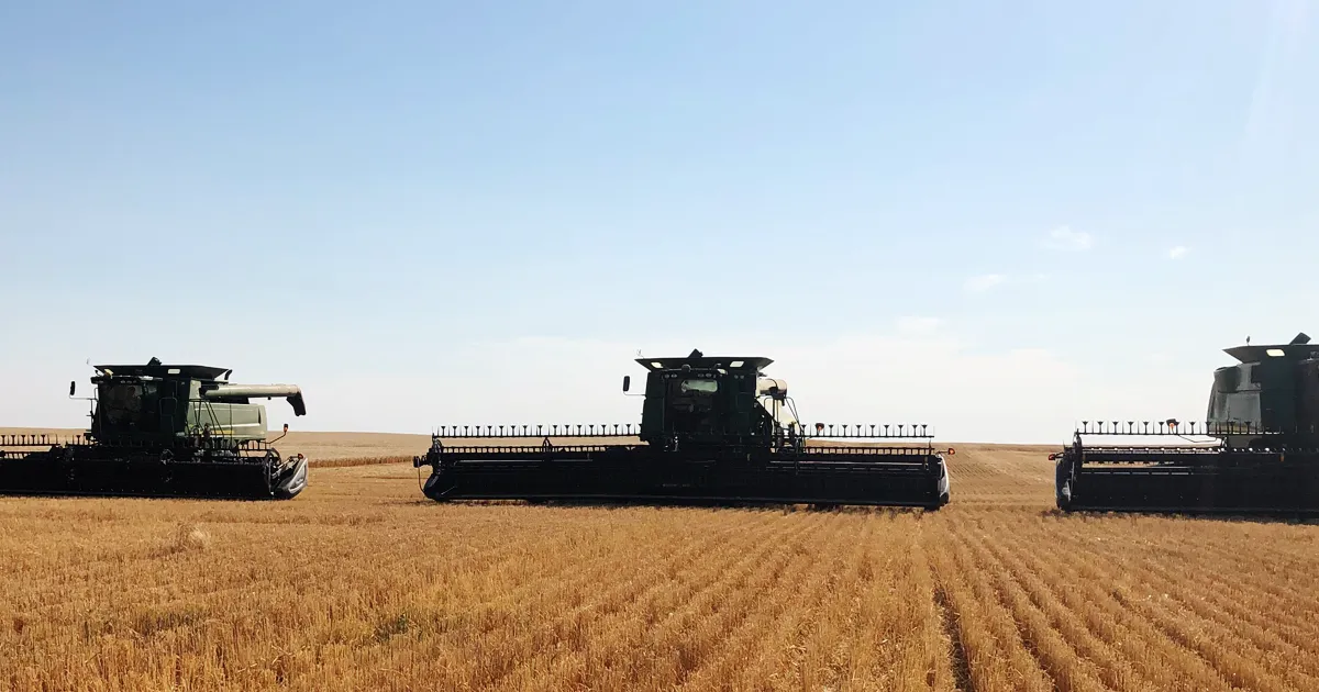 several combines on field using Duck Foot paddle tines