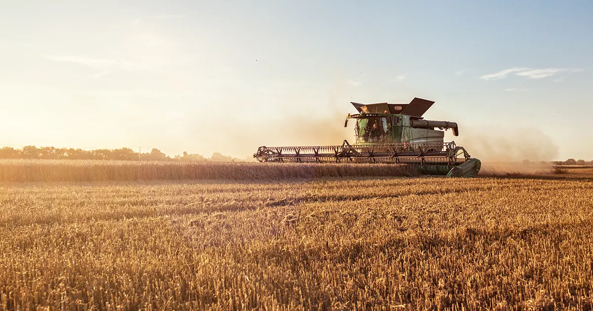 combine in field