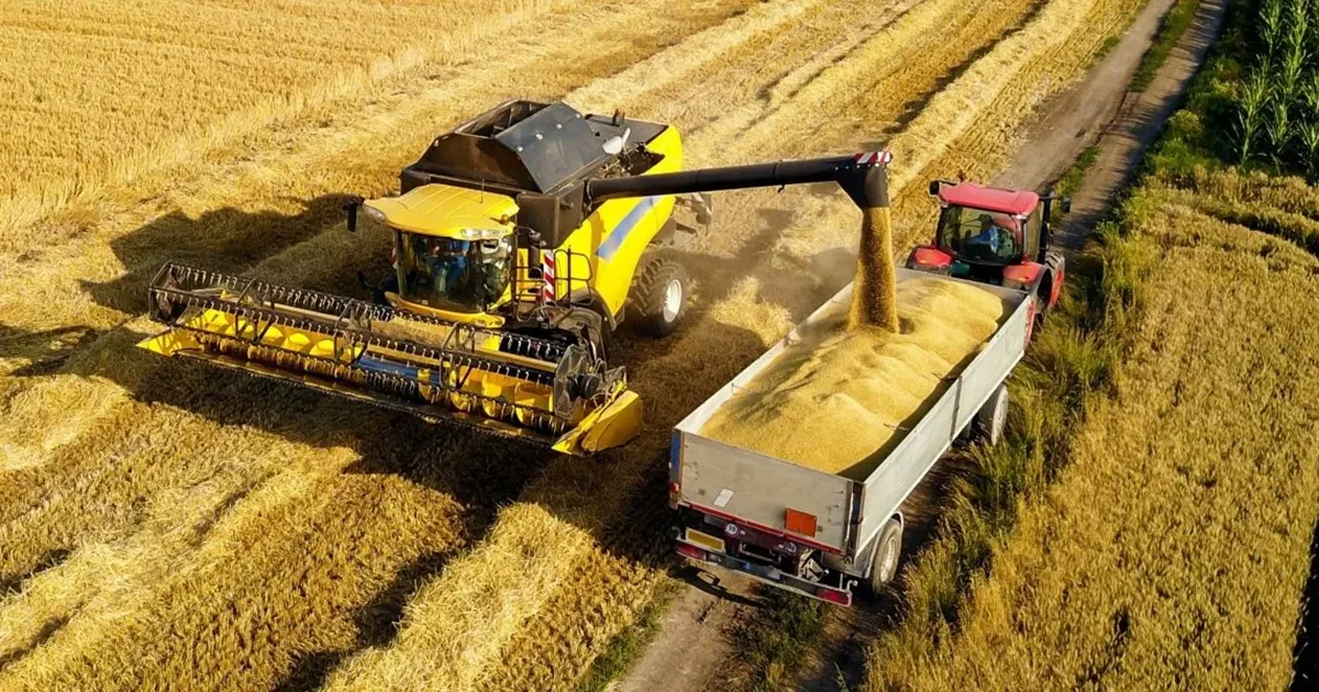 combine harvesting field