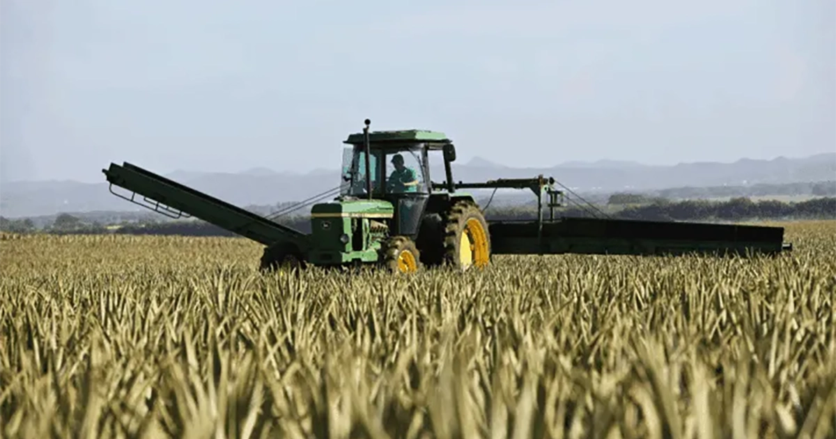 tractor in field