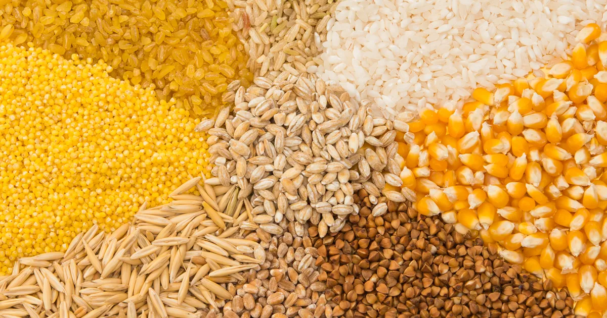 collection of various seed