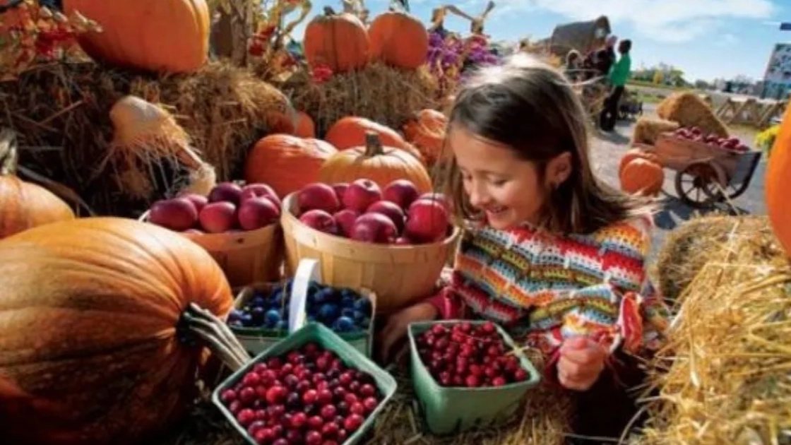 girl standing around baskets of harvest crops
