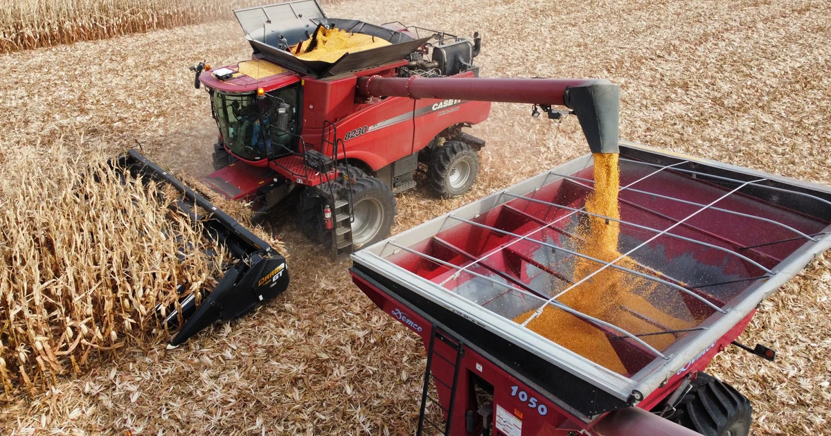 combine harvesting field