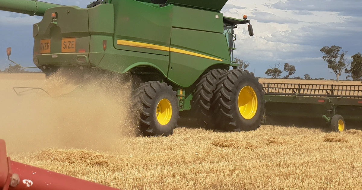 combine in field harvesting