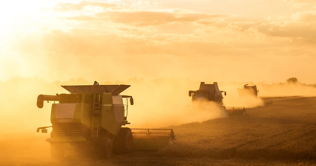 line of combines harvesting field at sunset