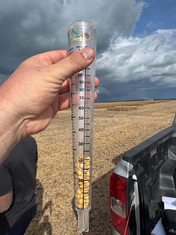 loss sample for soybeans using OEM concaves