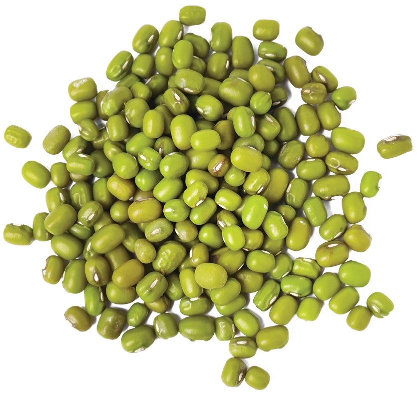 mung beans