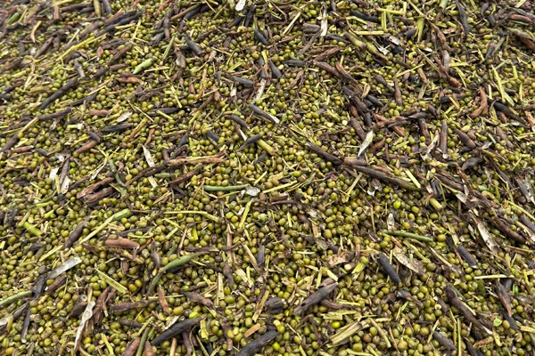 OEM concaves operational efficiency mung beans
