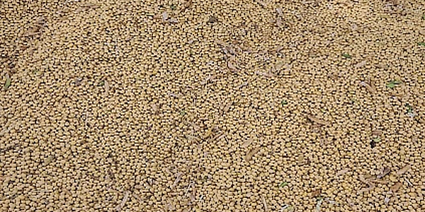 soybean yield from OEM concaves