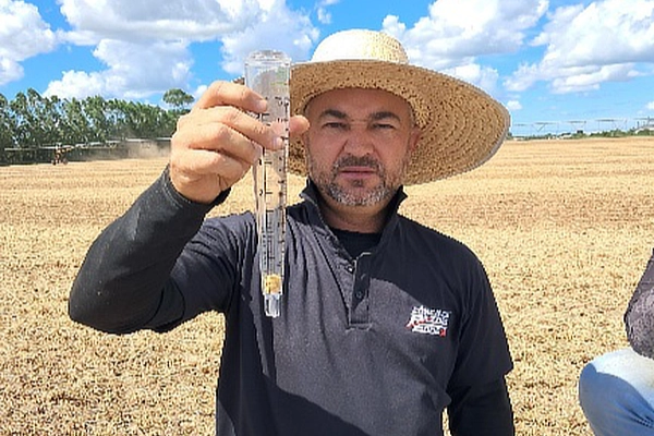 soybean loss sample from OEM concaves