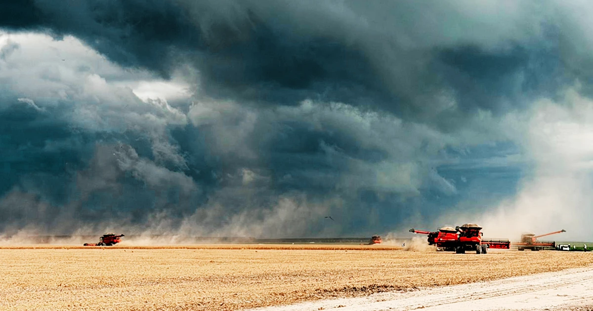 Combines harvesting in Brasil