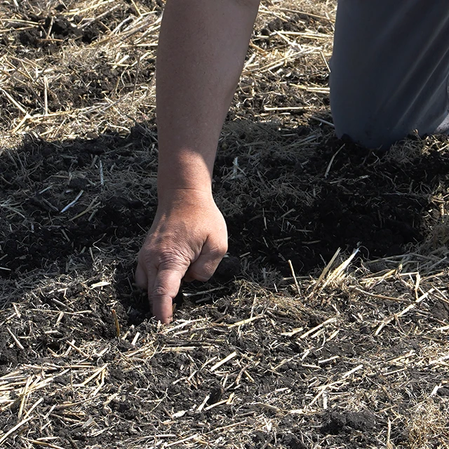 man inspecting field